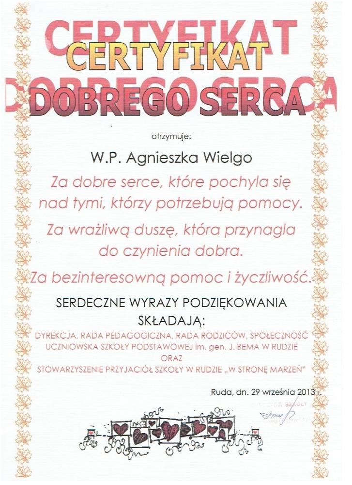 Certyfikat Dobrego Serca - Szkoła Podstawowa i Stowarzyszenie Przyjaciół Szkoły w Rudzie "W stronę marzeń"